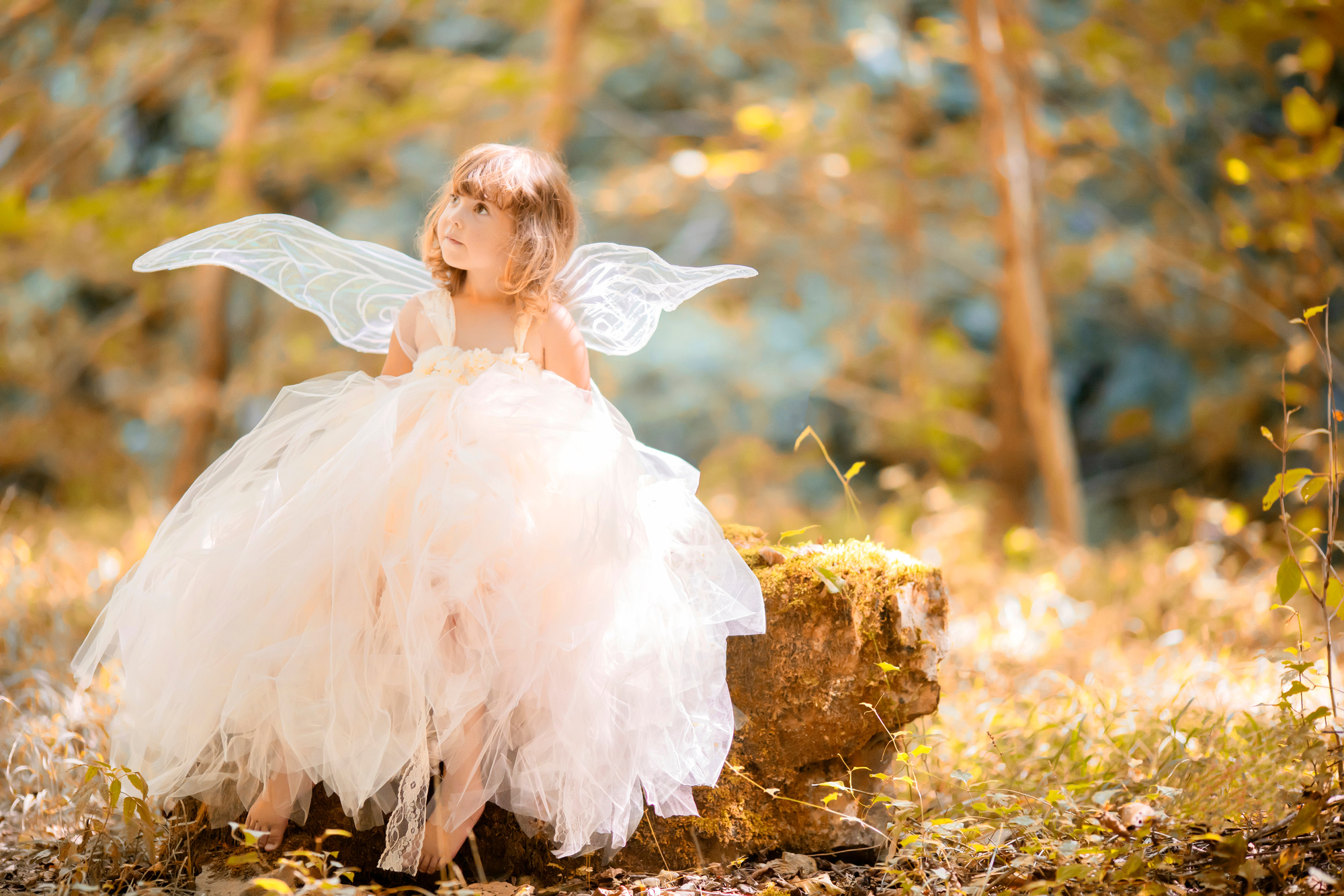 Fairy tale consept. Little toddler girl wearing beautiful princess dress with fairy wings